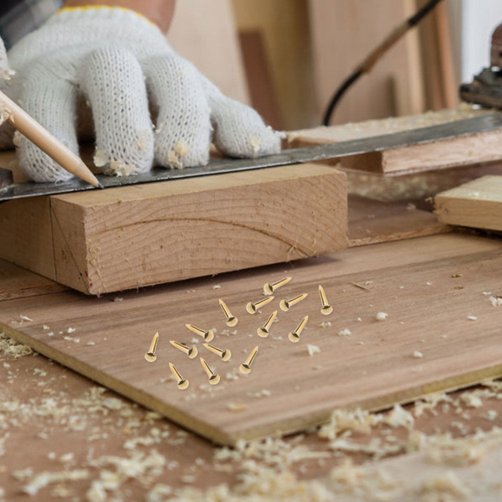 100 Stück Möbelnägel Polsternä – Furniture Upholstery Hardware Bewertung und Preis